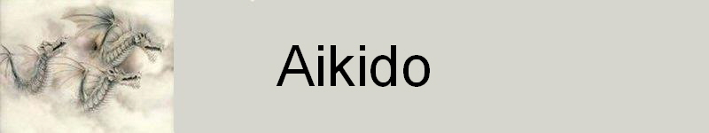 Aikido