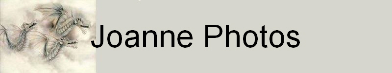 Joanne Photos